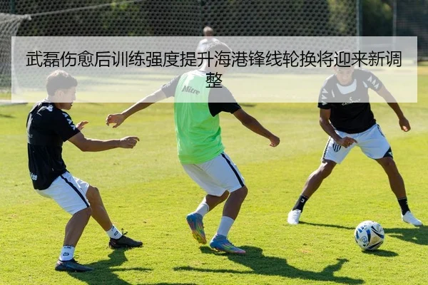 武磊伤愈后训练强度提升海港锋线轮换将迎来新调整 | xingkong.com