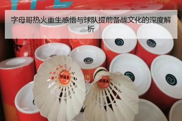 字母哥热火重生感悟与球队提前备战文化的深度解析 | xingkong.com